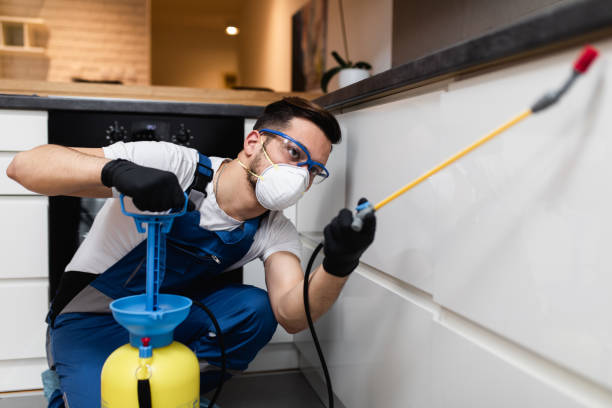 Flea Control Services in Springfield, KY