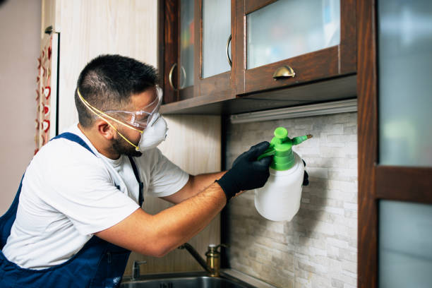 Reliable Springfield, KY Pest Control Solutions