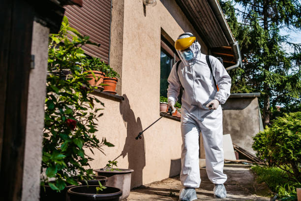 Best Rat Extermination Near Me  in Springfield, KY