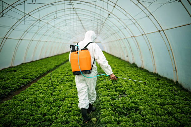 Best Pest Removal Services  in Springfield, KY