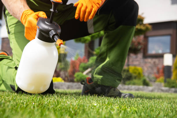 Best Bird Control  in Springfield, KY