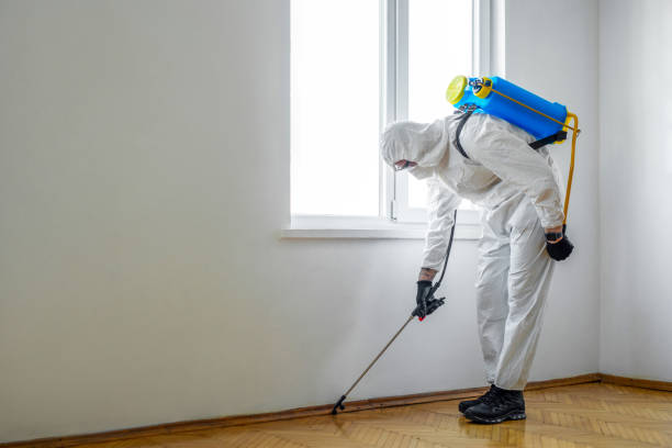 Best Emergency Pest Control  in Springfield, KY