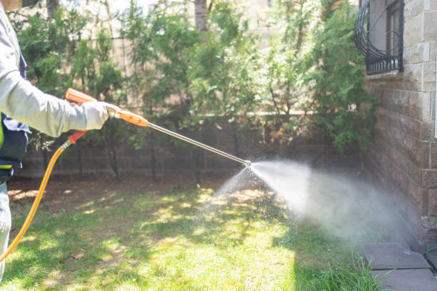 Best Affordable Exterminators  in Springfield, KY