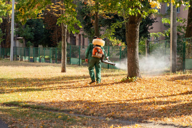 Best Affordable Pest Control Services  in Springfield, KY