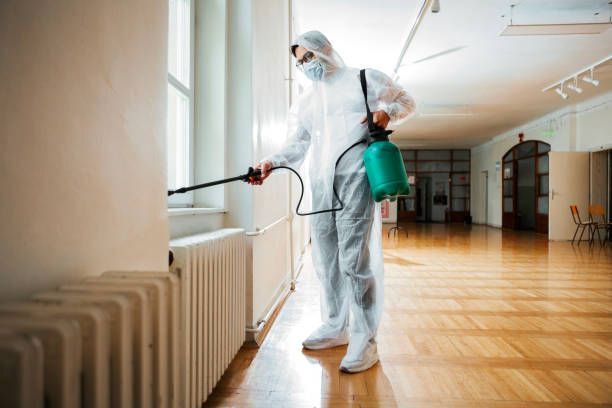 Best Cockroach Control Services  in Springfield, KY